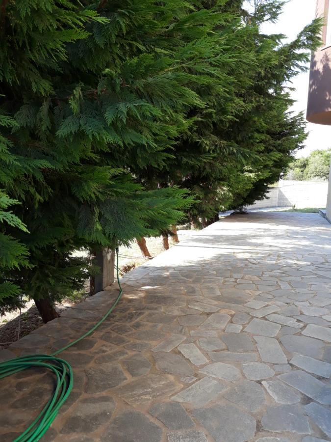 Apartment Ithakis Nea Iraklitsa Zewnętrze zdjęcie
